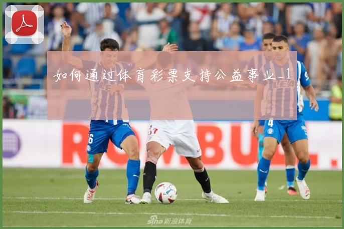 如何通过体育彩票支持公益事业_1