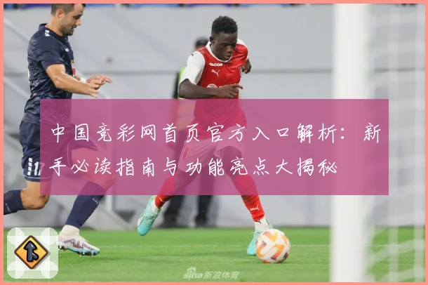 中国竞彩网首页官方入口解析：新手必读指南与功能亮点大揭秘