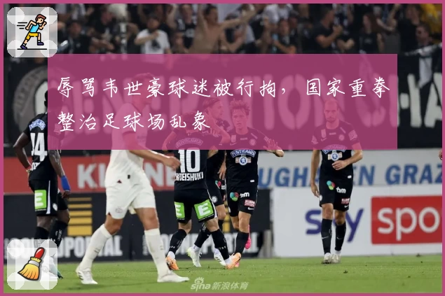 辱骂韦世豪球迷被行拘,国家重拳整治足球场乱象