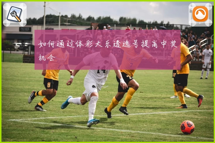 如何通过体彩大乐透选号提高中奖机会