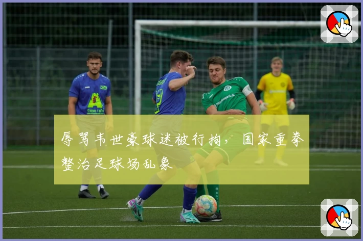辱骂韦世豪球迷被行拘，国家重拳整治足球场乱象