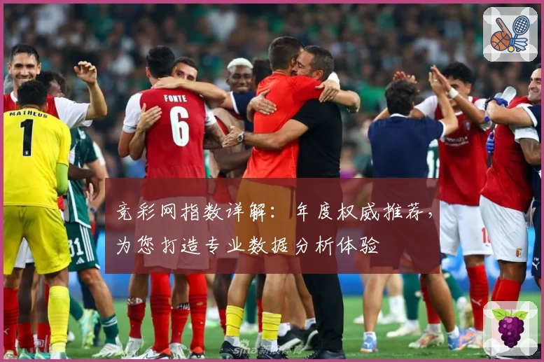竞彩网指数详解：年度权威推荐，为您打造专业数据分析体验
