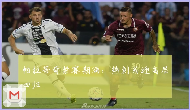 帕拉蒂奇禁赛期满，热刺或迎高层回归