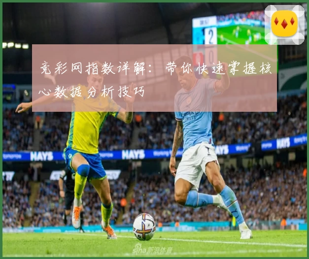 竞彩网指数详解：带你快速掌握核心数据分析技巧