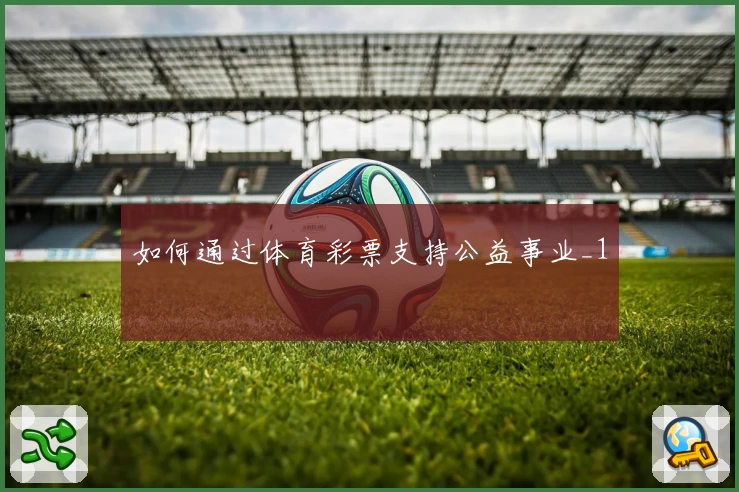 如何通过体育彩票支持公益事业_1
